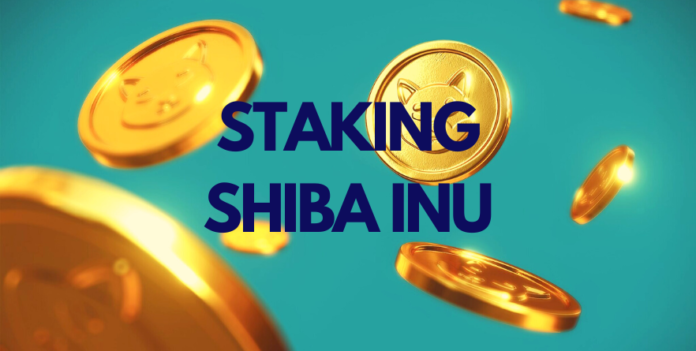 Staking Shiba Inu