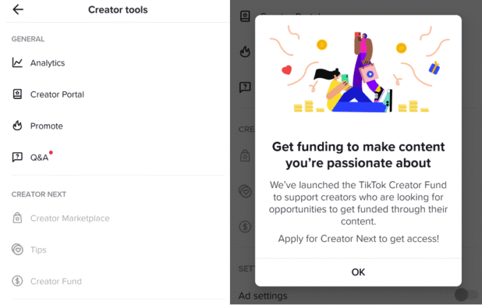 The TikTok Creator Reward Program